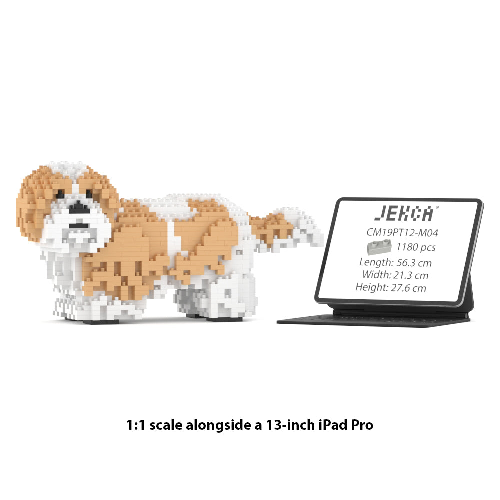 Shih Tzu 01-M04