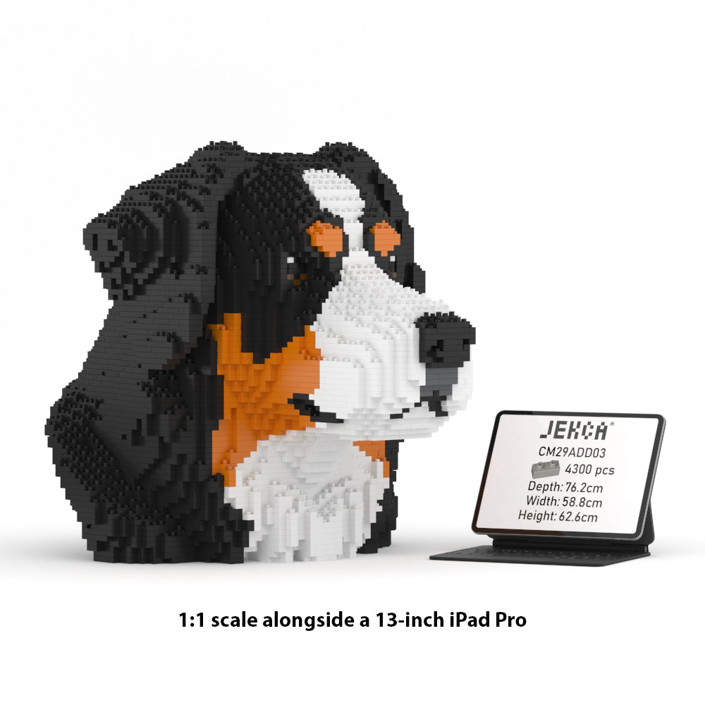 Bernese Mountain Dog Bust 01