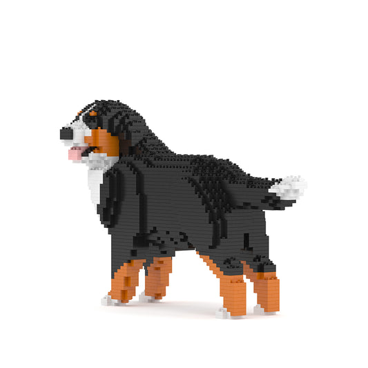 Bernese Mountain Dog 03B