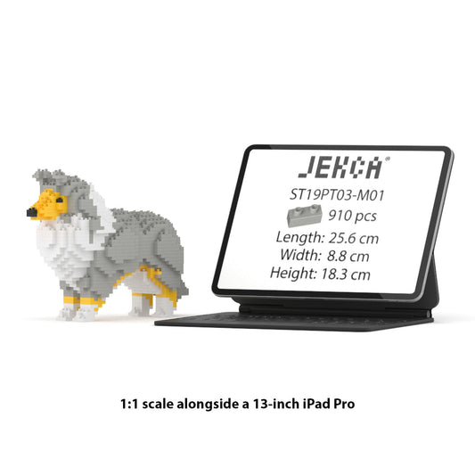 Shetland Sheepdog 01-M01