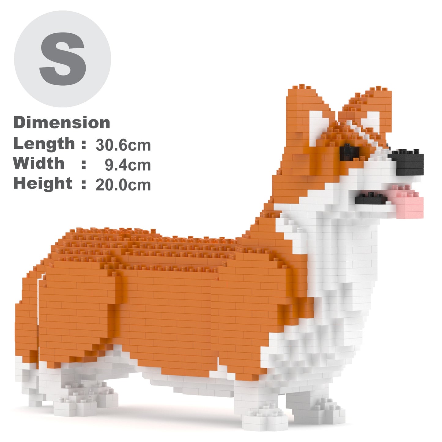 Welsh Corgi 02-M01