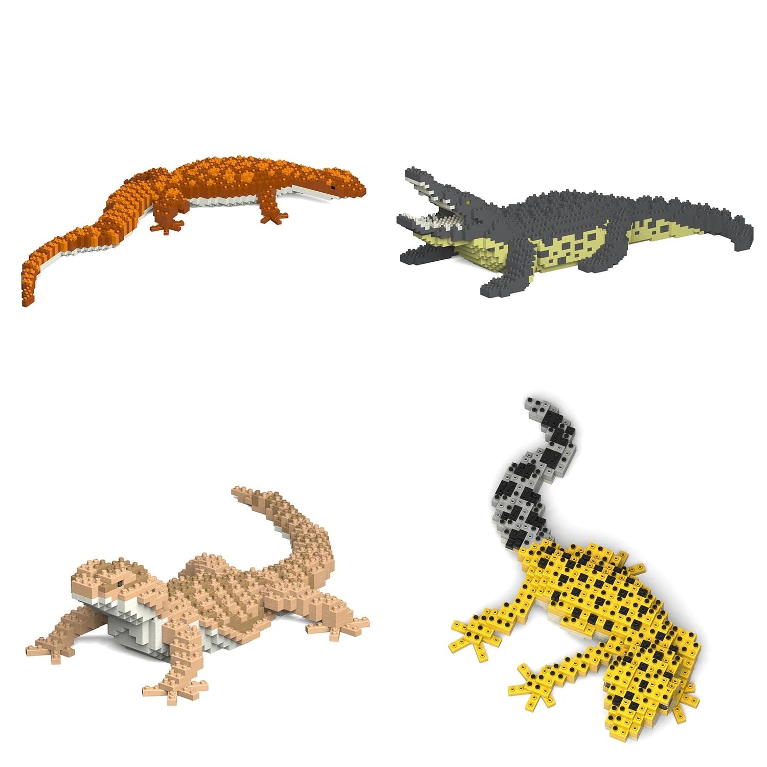 Reptiles