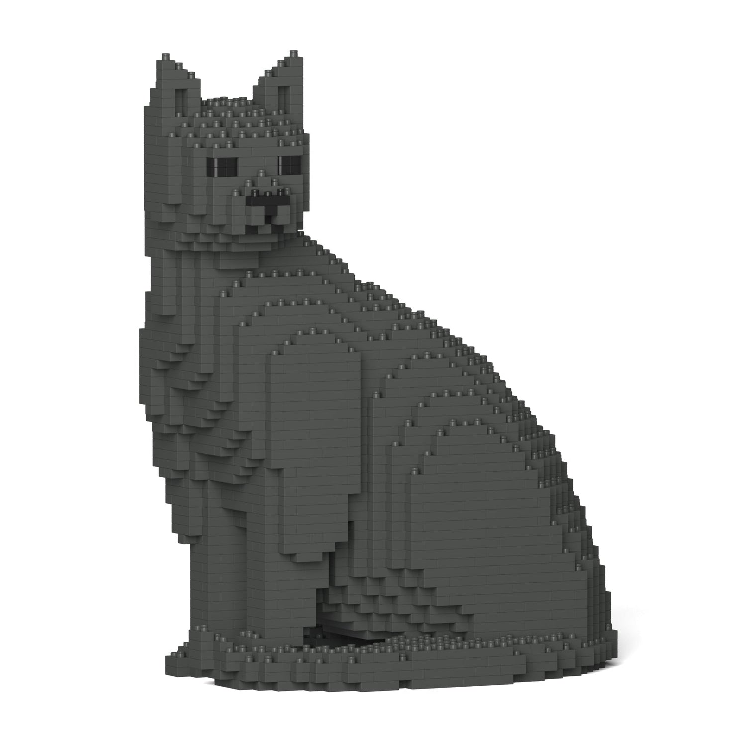 Grey Cat