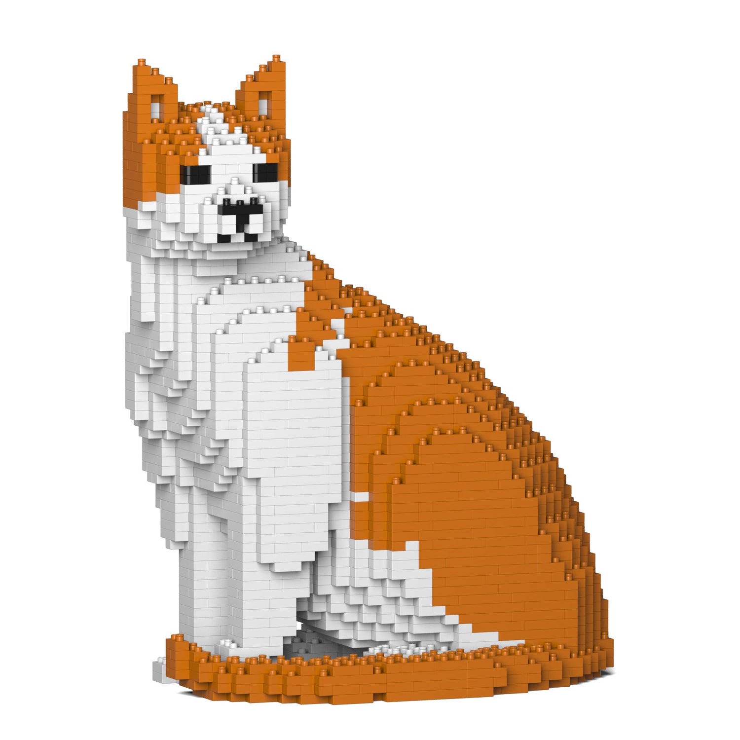 Orange & White Cat