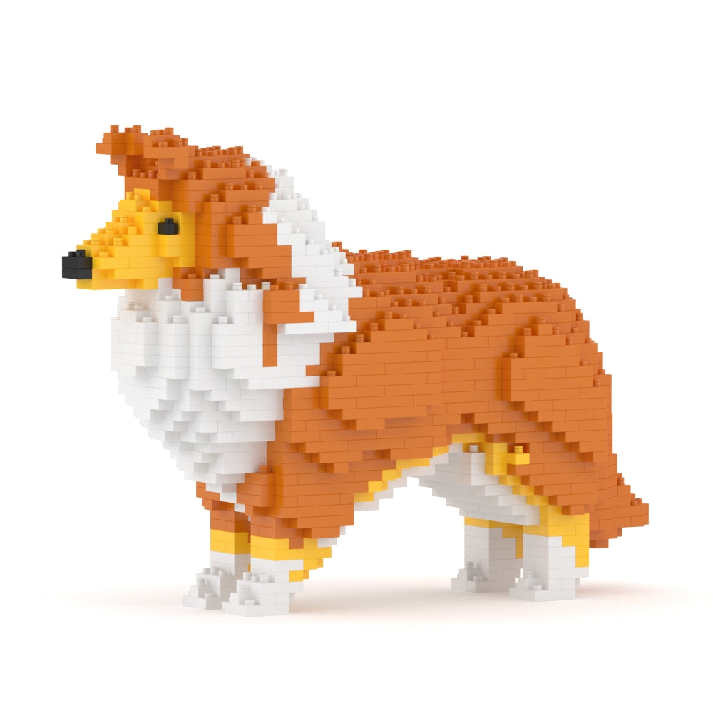 Shetland Sheepdog