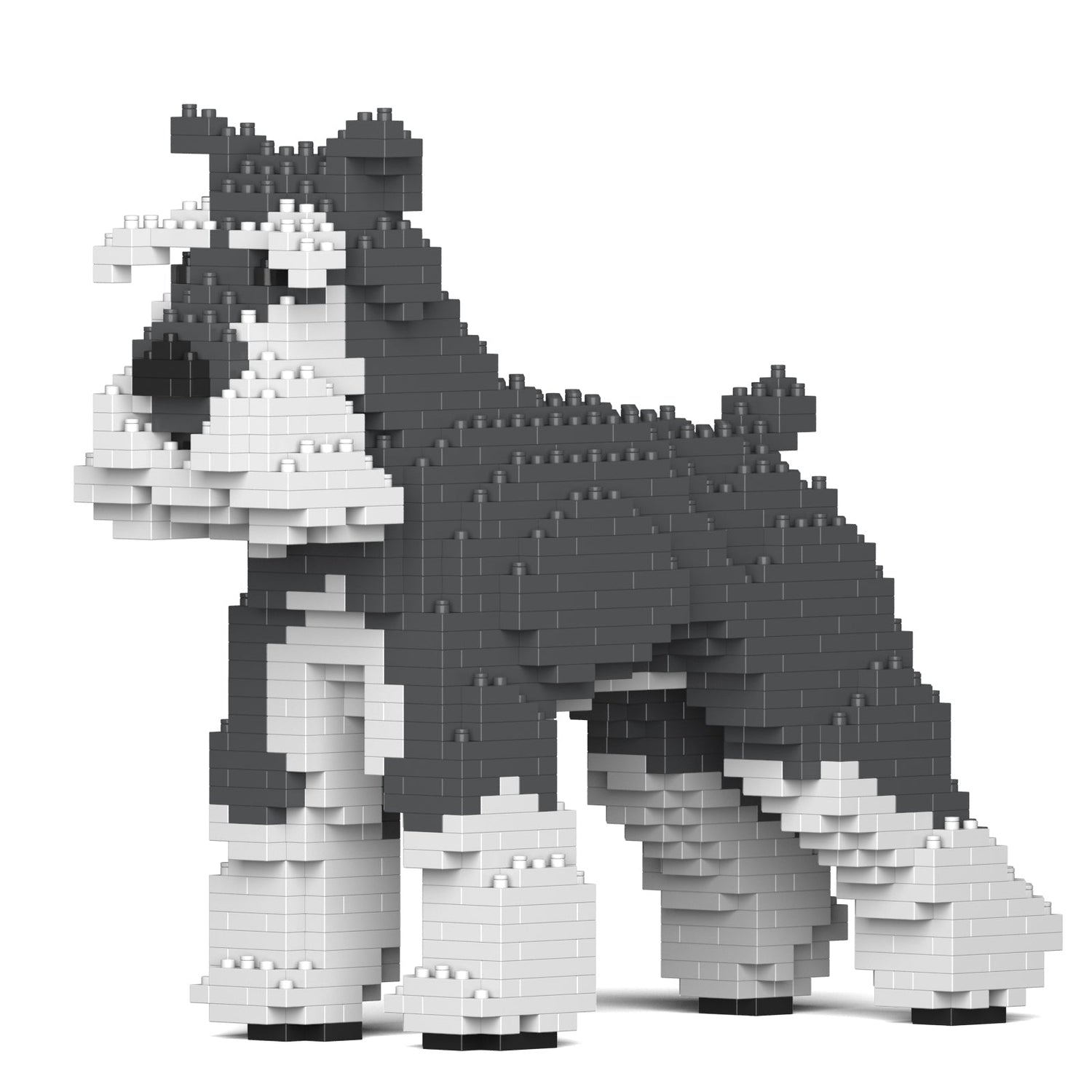 Standard Schnauzer