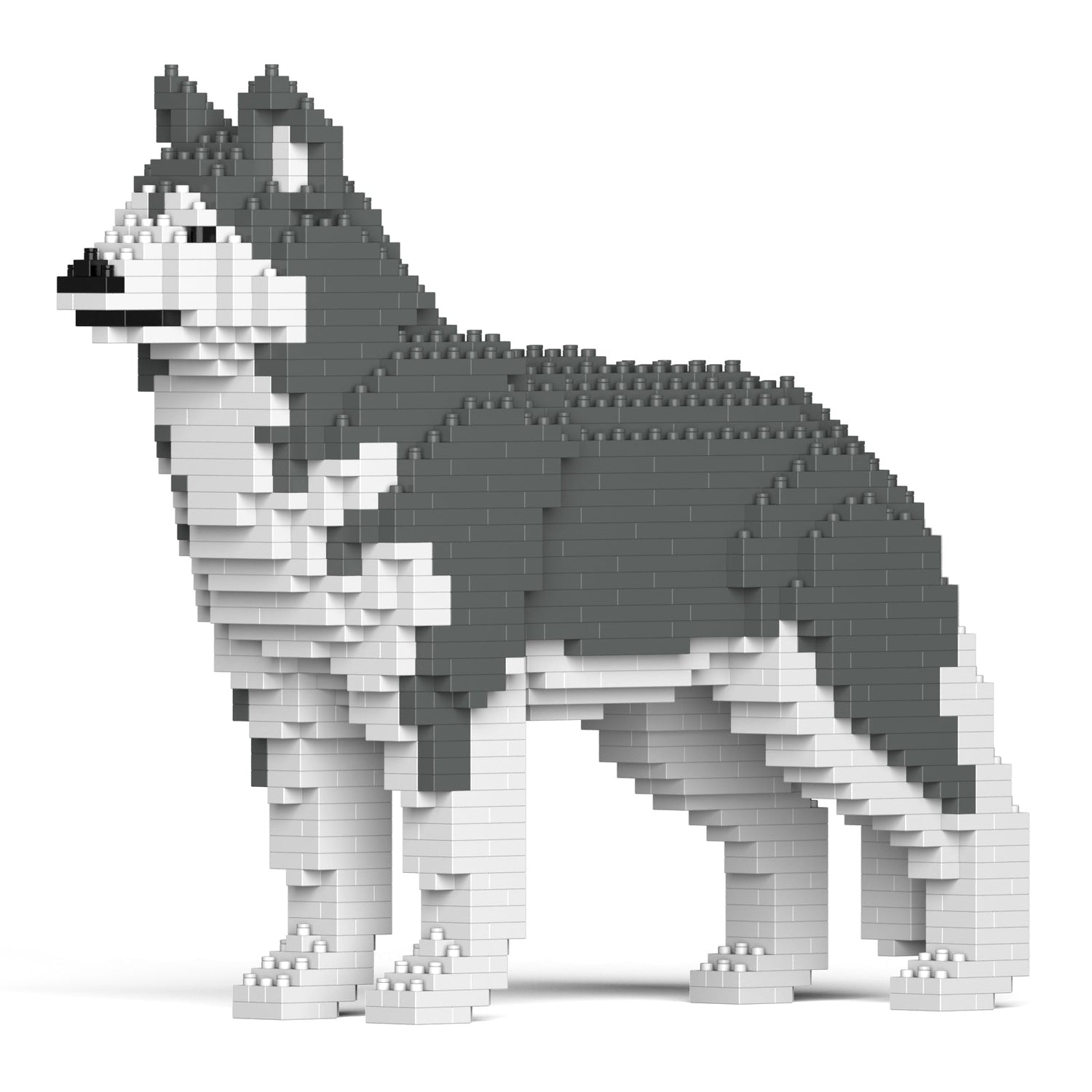 Husky