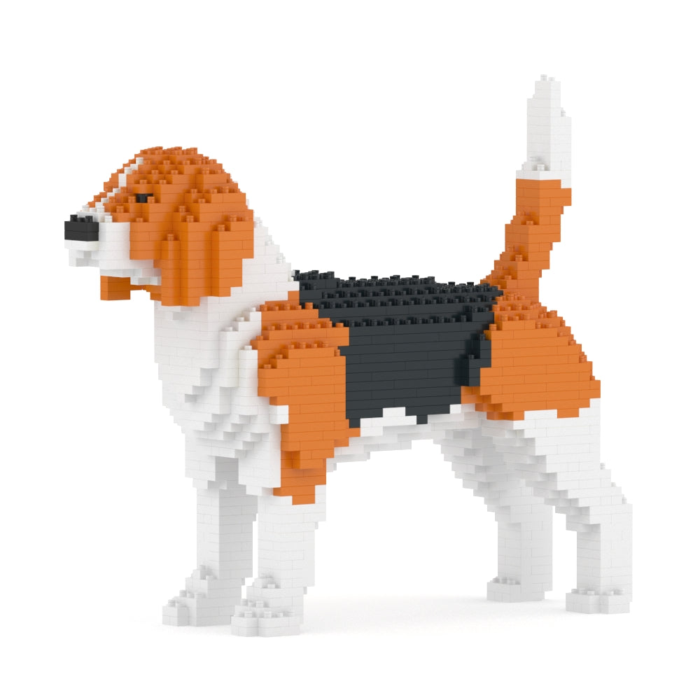Beagle