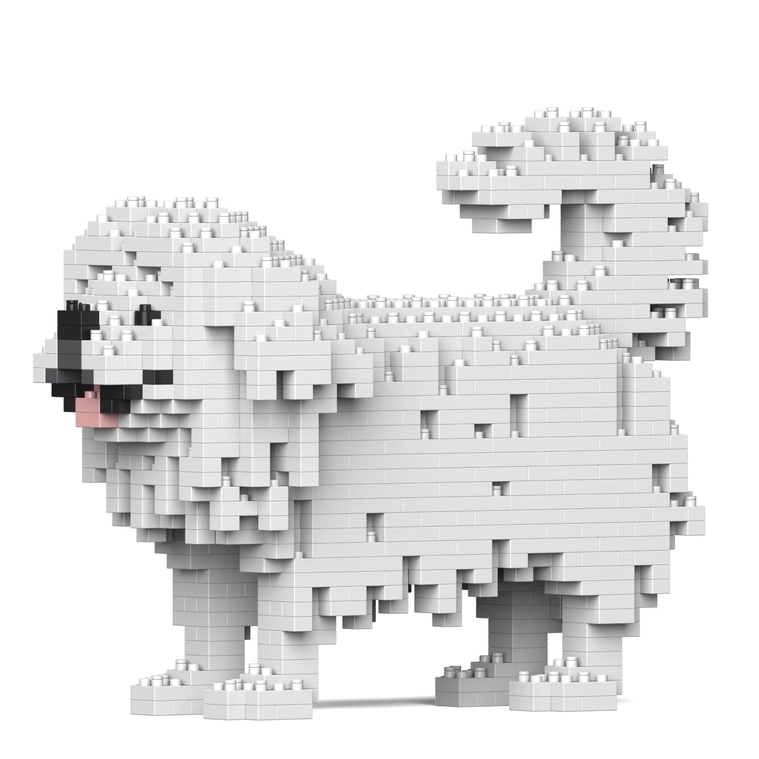 Pekingese