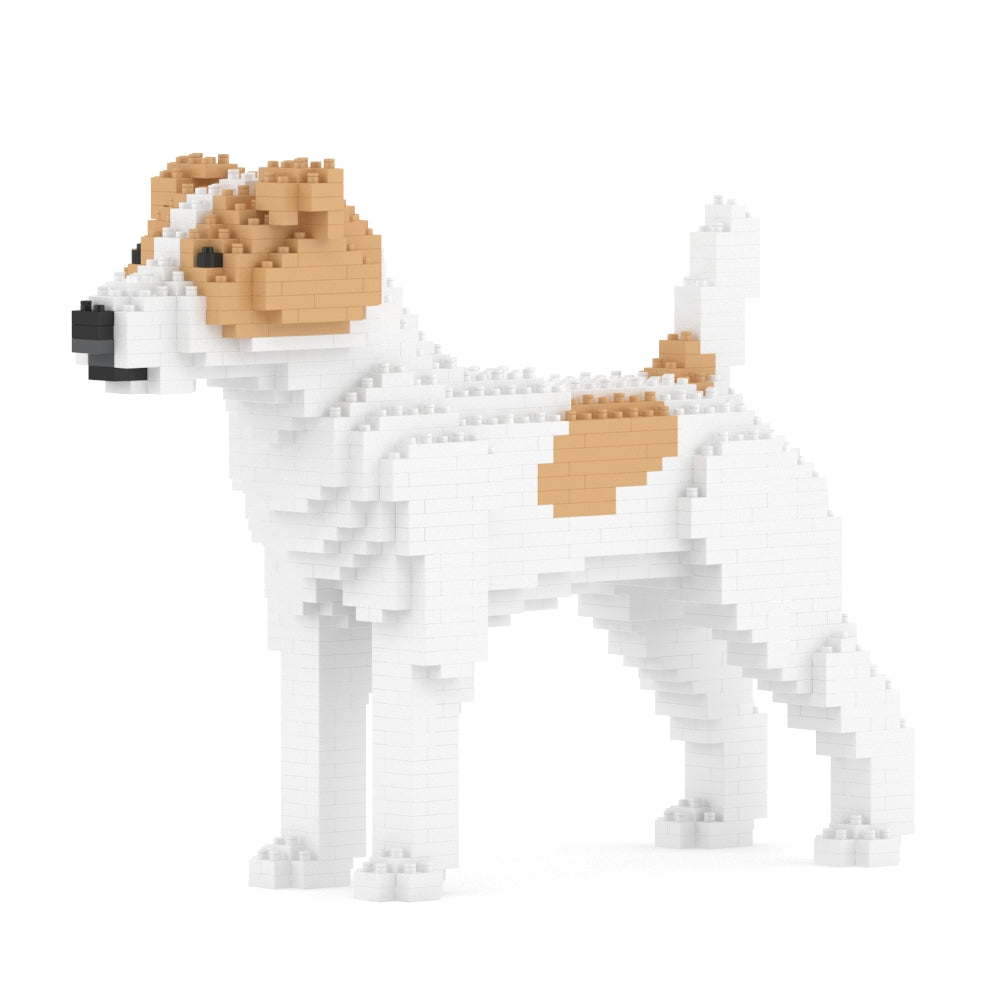 Jack Russell Terrier
