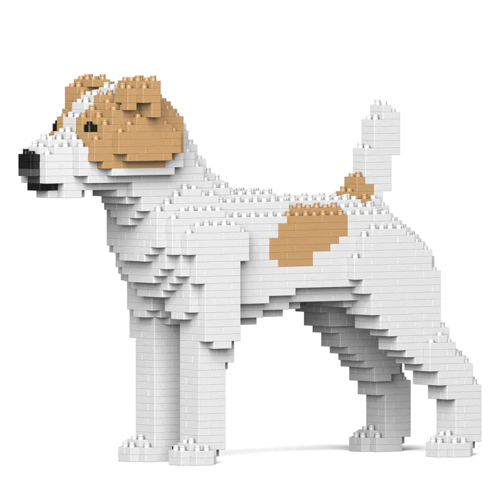 Jack Russell Terrier