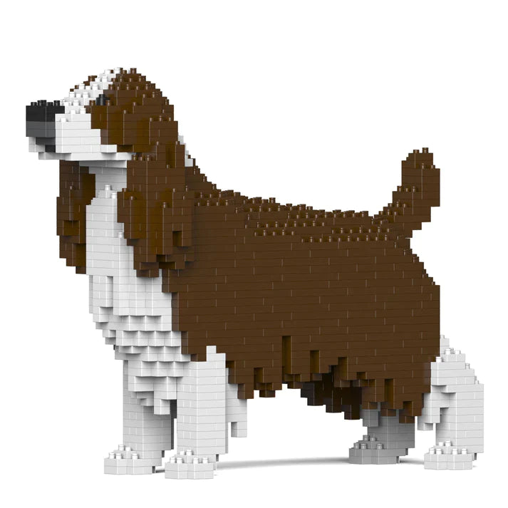 English Springer Spaniel