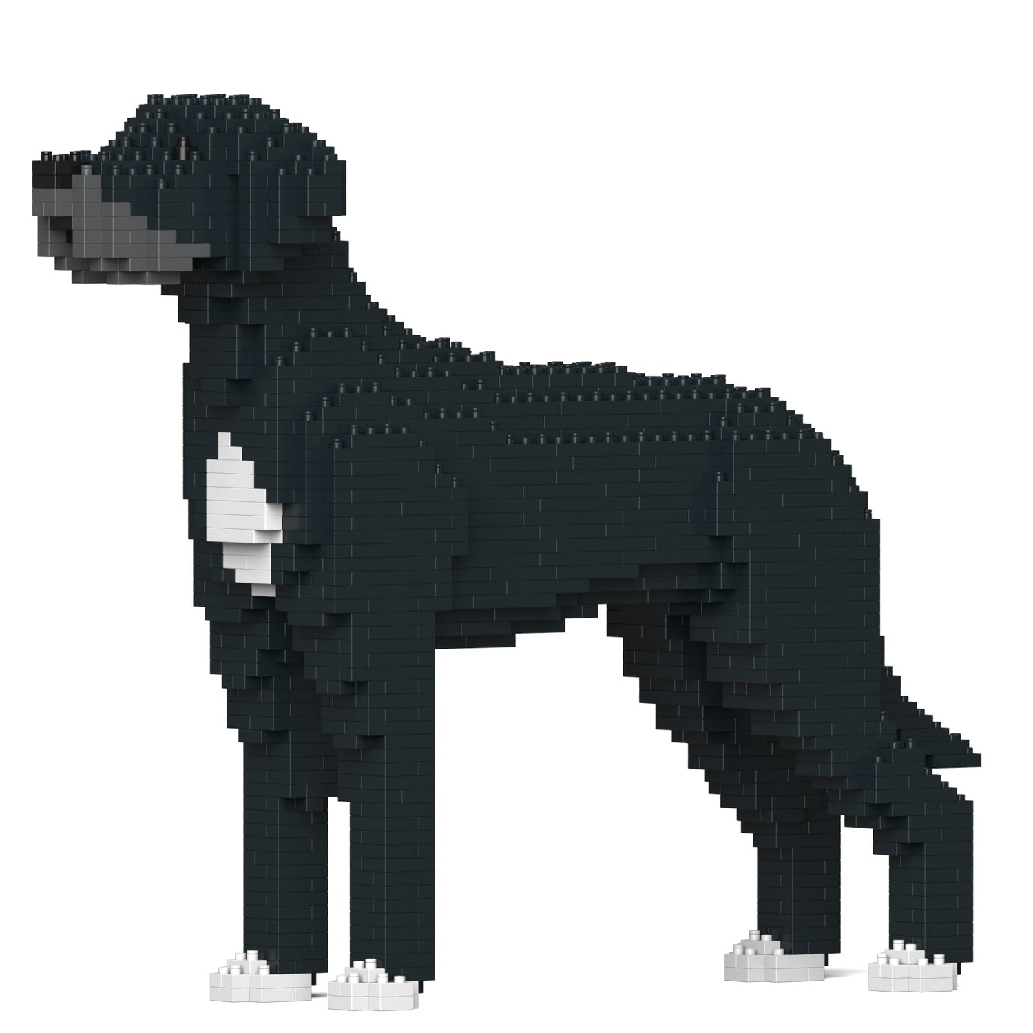 Great Dane