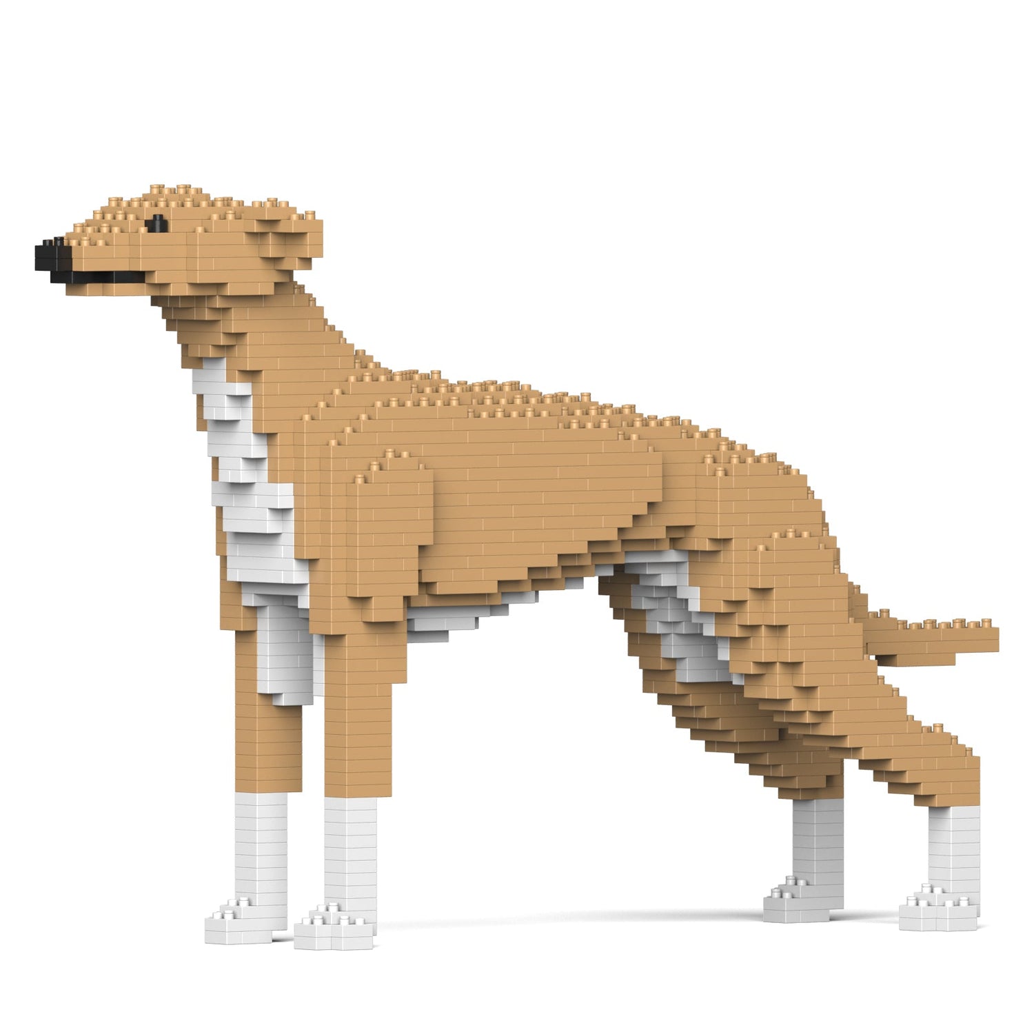Greyhound