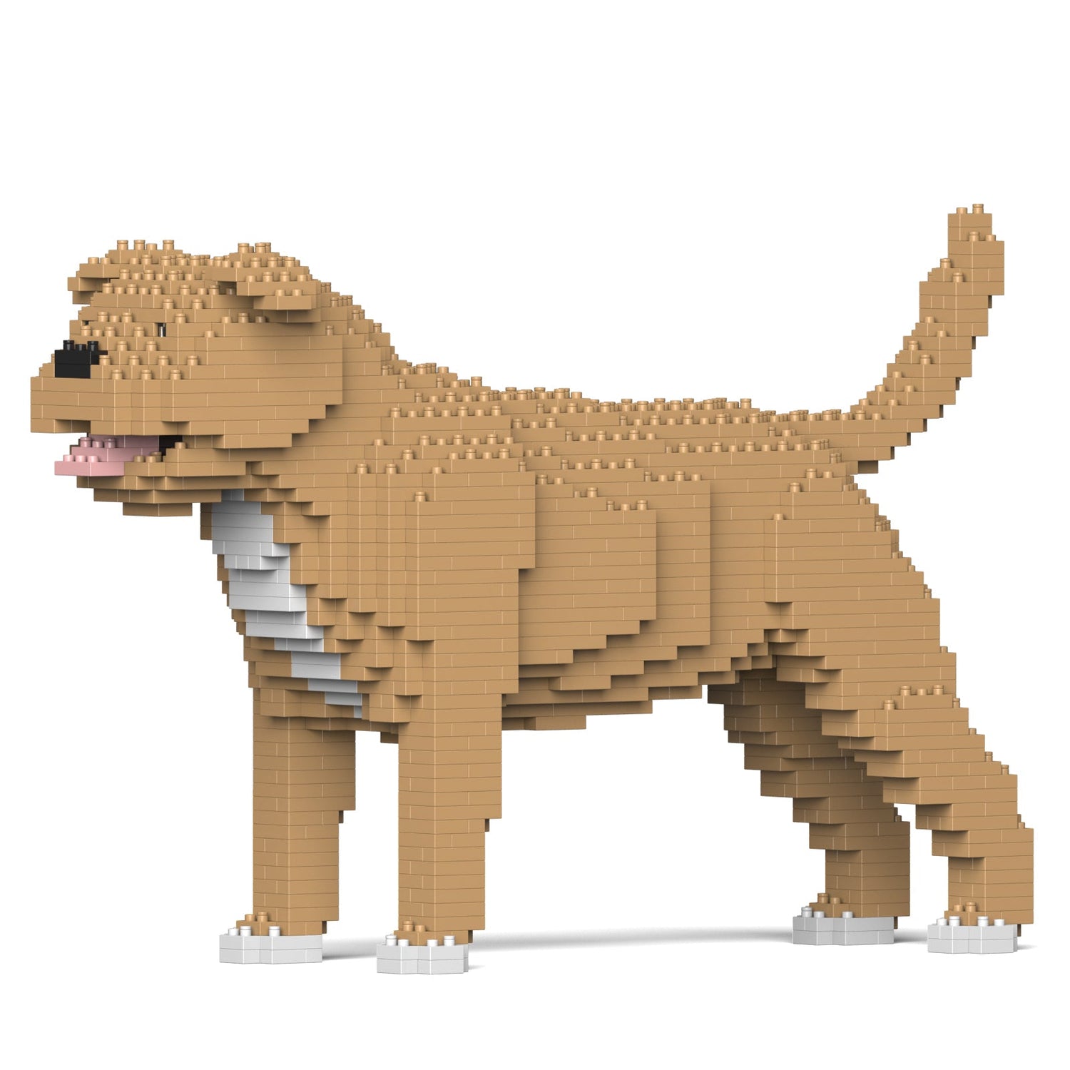Staffordshire Bull Terrier