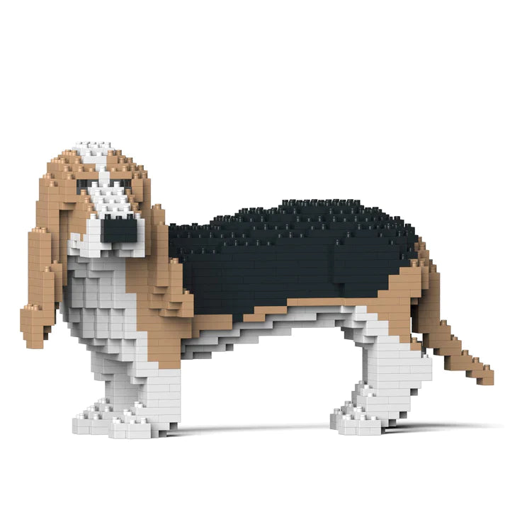 Basset Hound