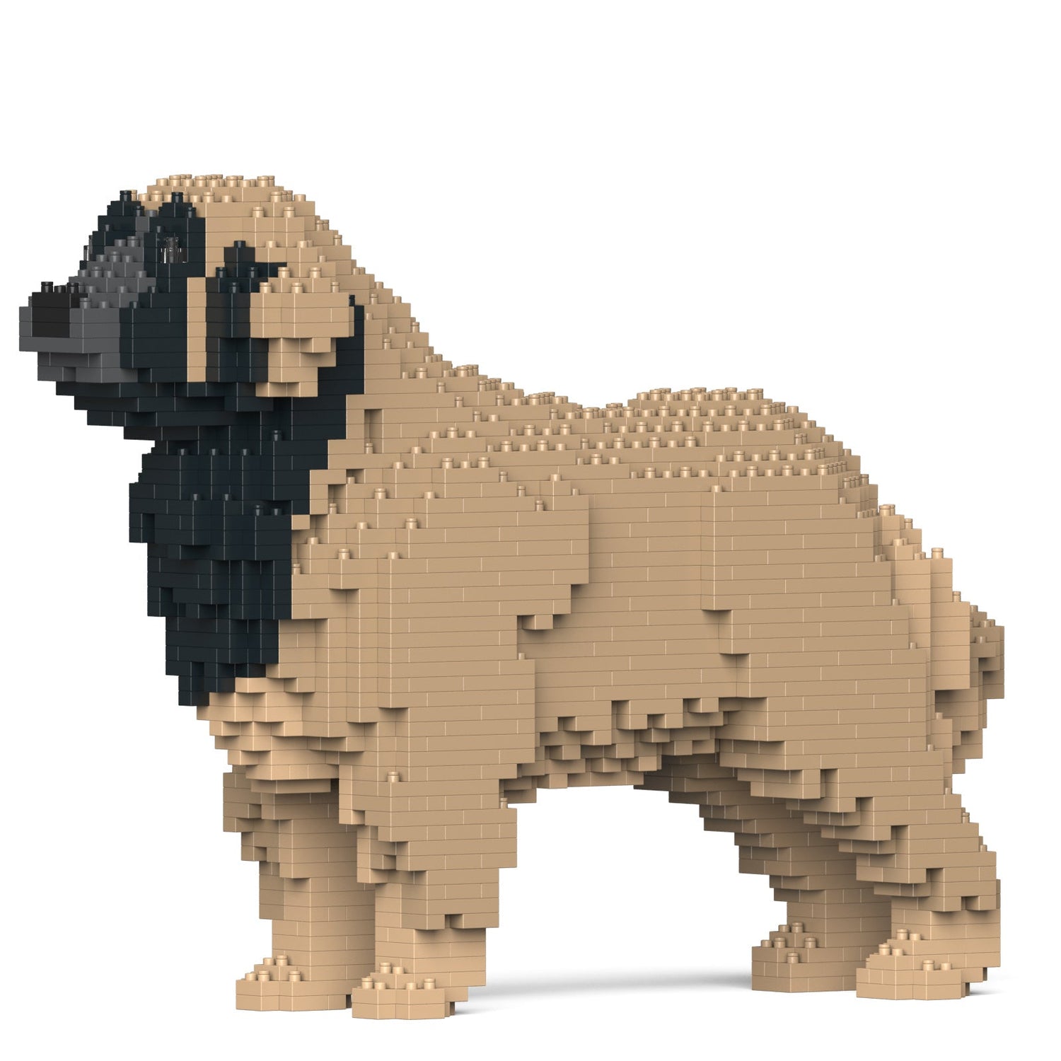 Leonberger