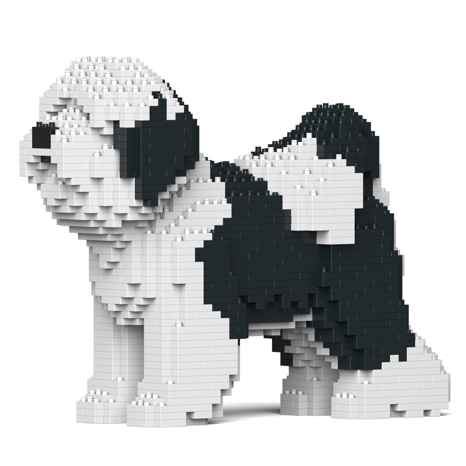Tibetan Terrier