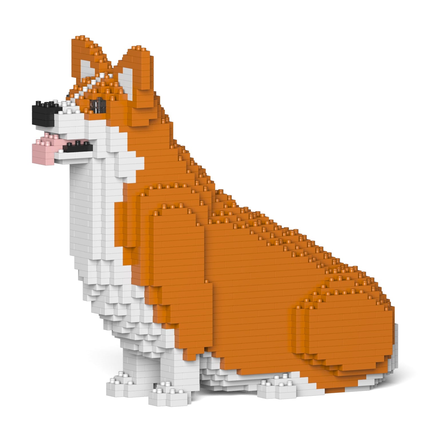 Welsh Corgi