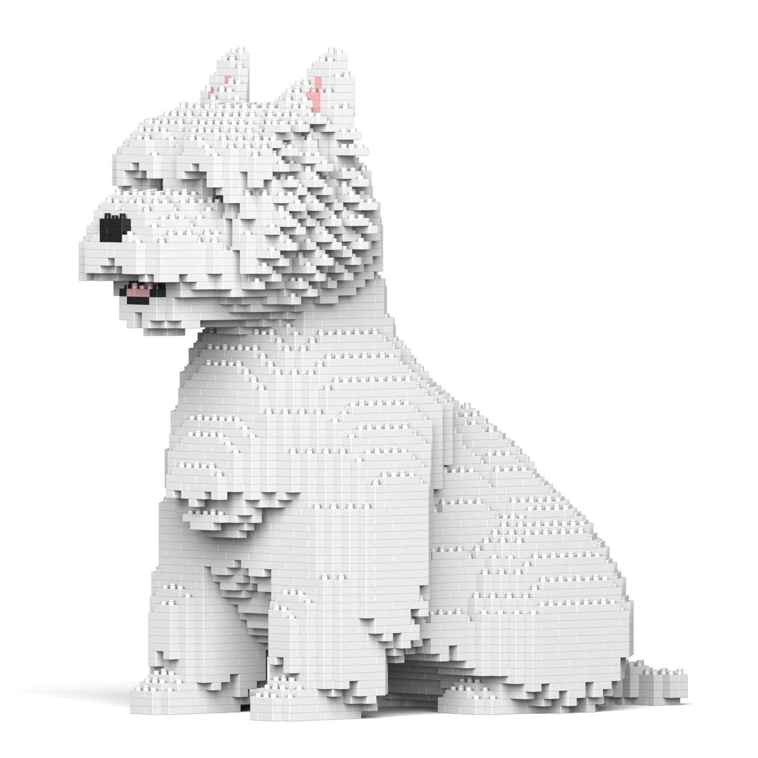 West Highland White Terrier