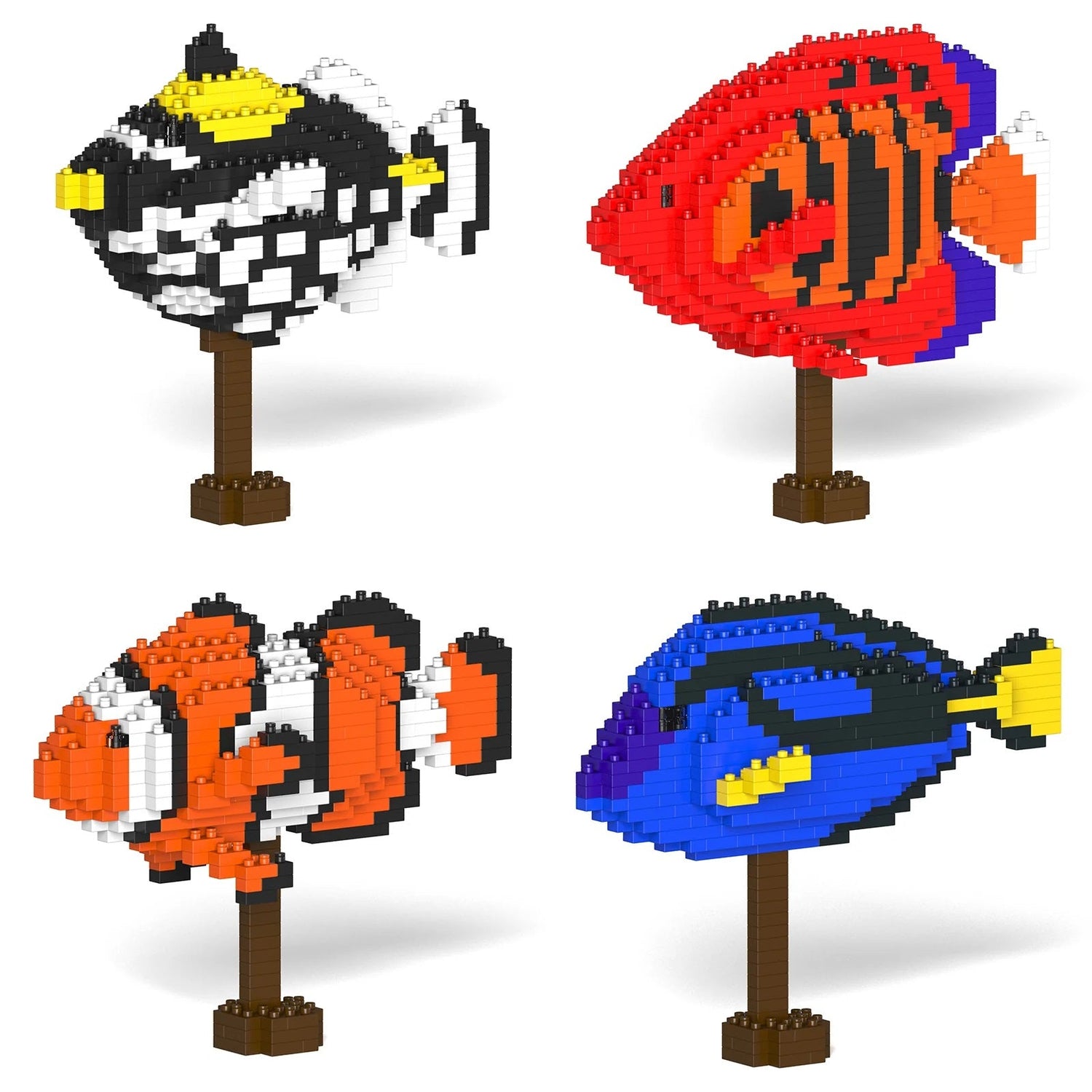 Tropical Fish