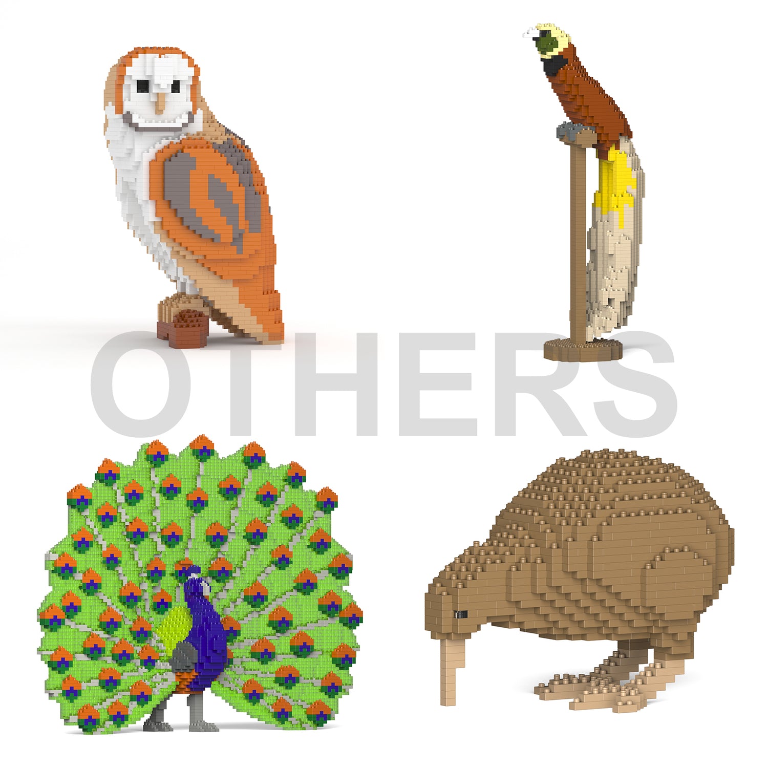 Other Birds