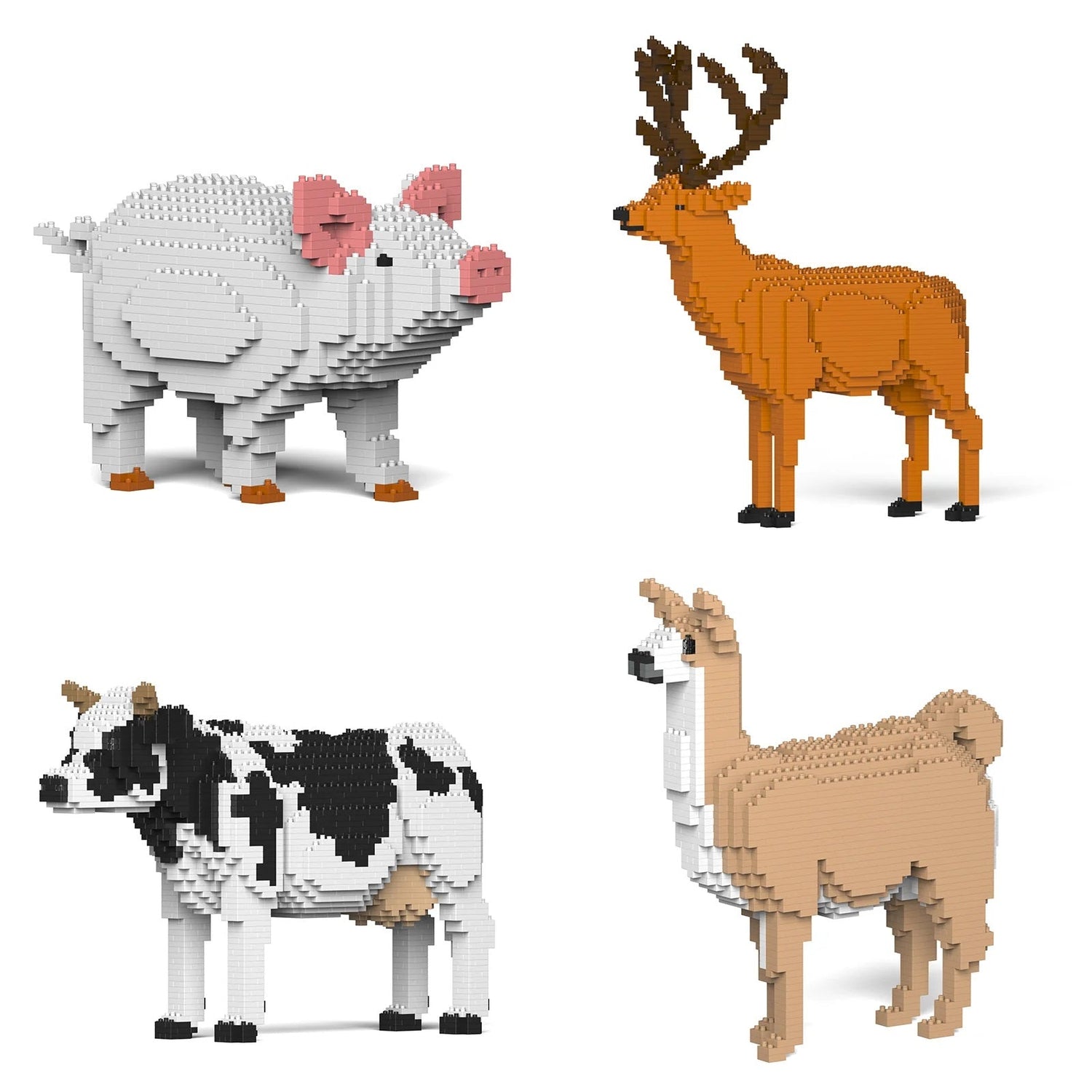 Farm Animal