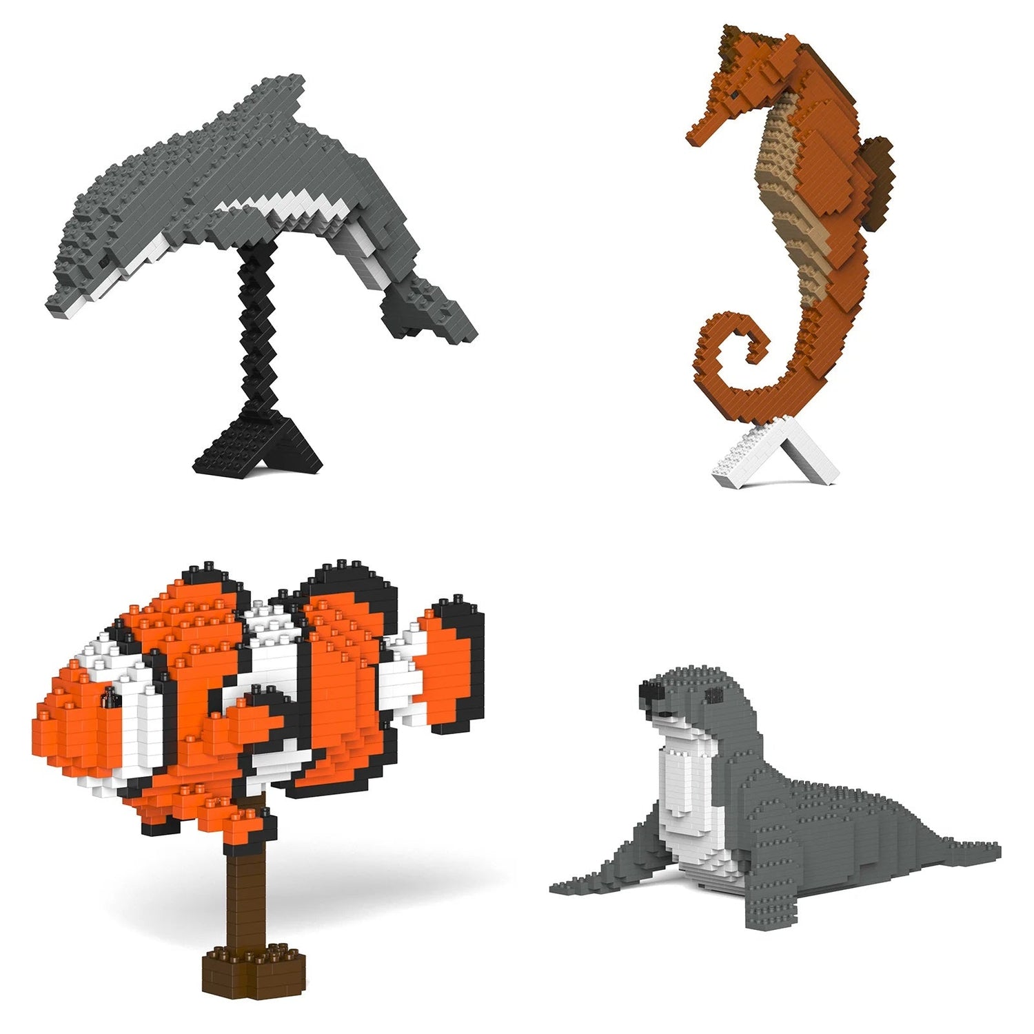 Marine Animals