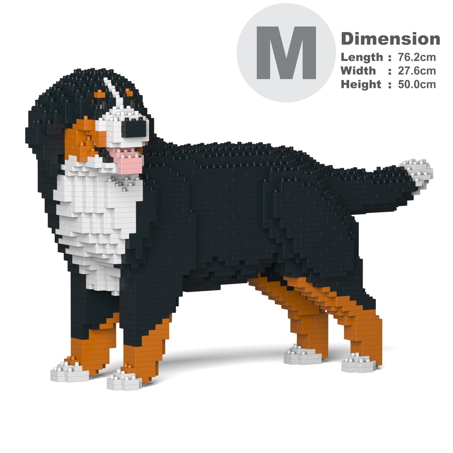 Bernese Mountain Dog 03B