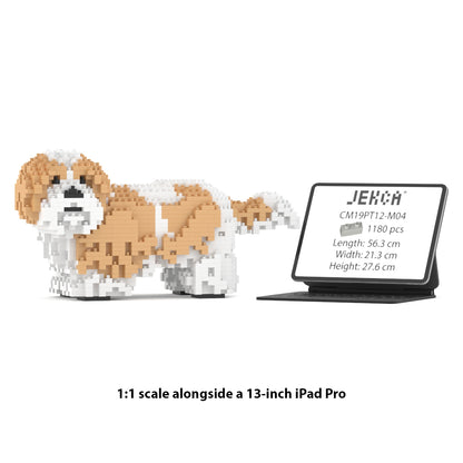 Shih Tzu 01-M04