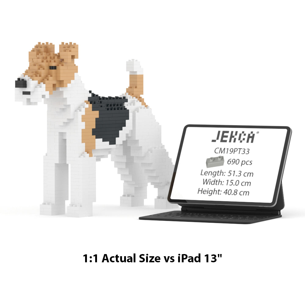 Wire Haired Fox Terrier 01