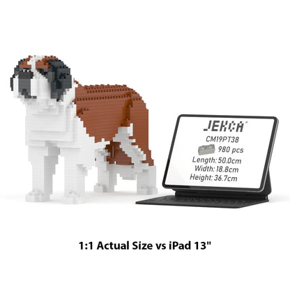 St. Bernard 01