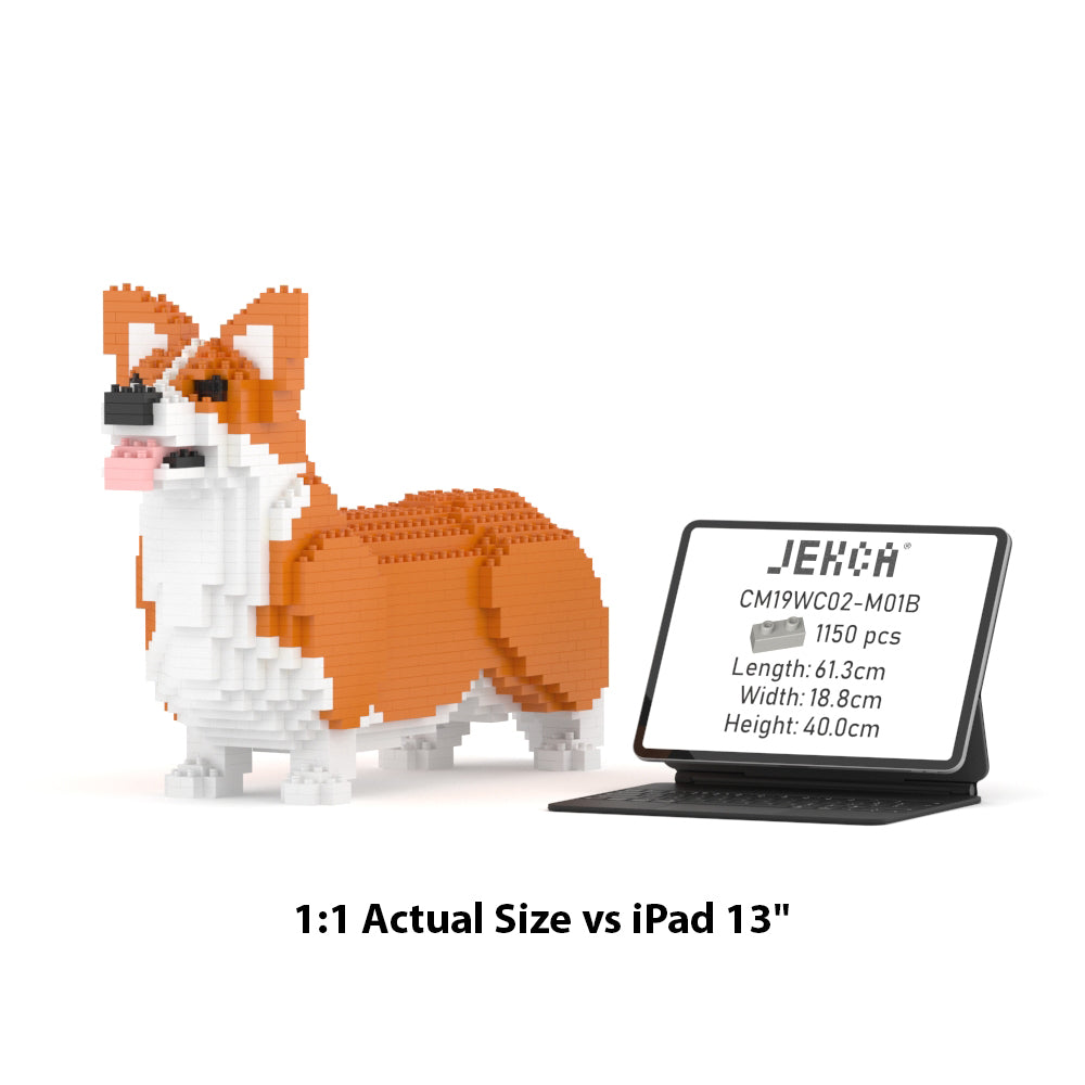 Welsh Corgi 02-M01