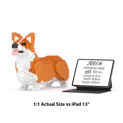 Welsh Corgi 02-M01