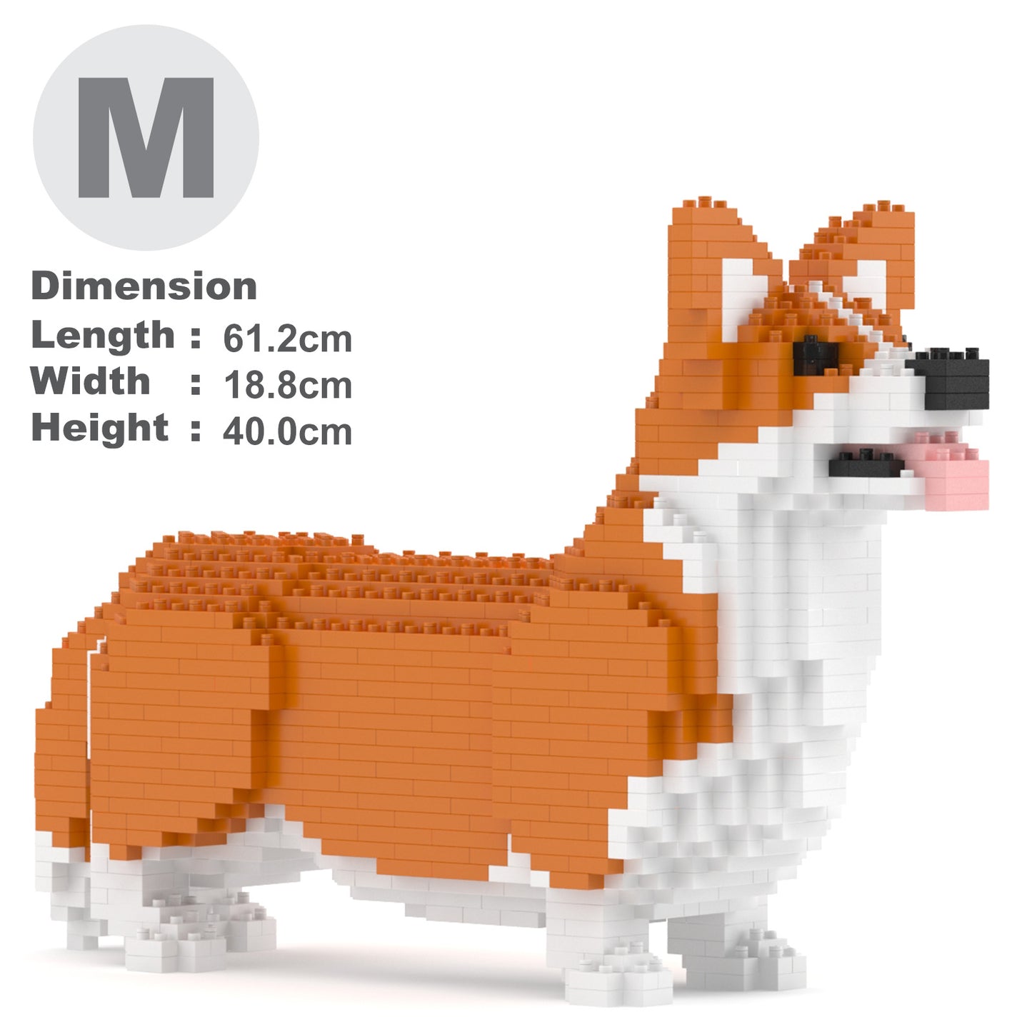 Welsh Corgi 02-M01