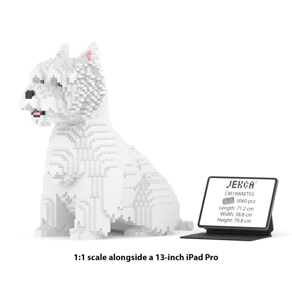 West Highland White Terrier 03