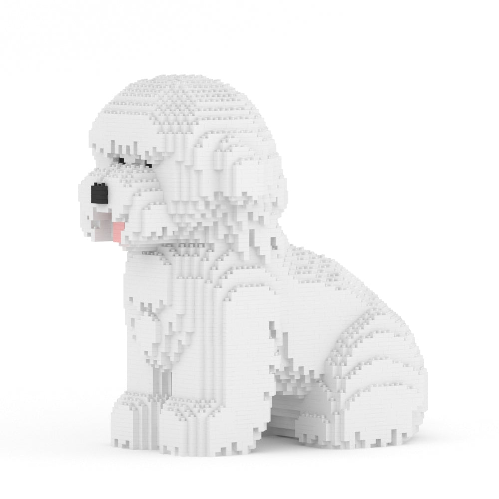 Bichon Frise 03