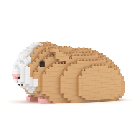 Guinea Pig 01