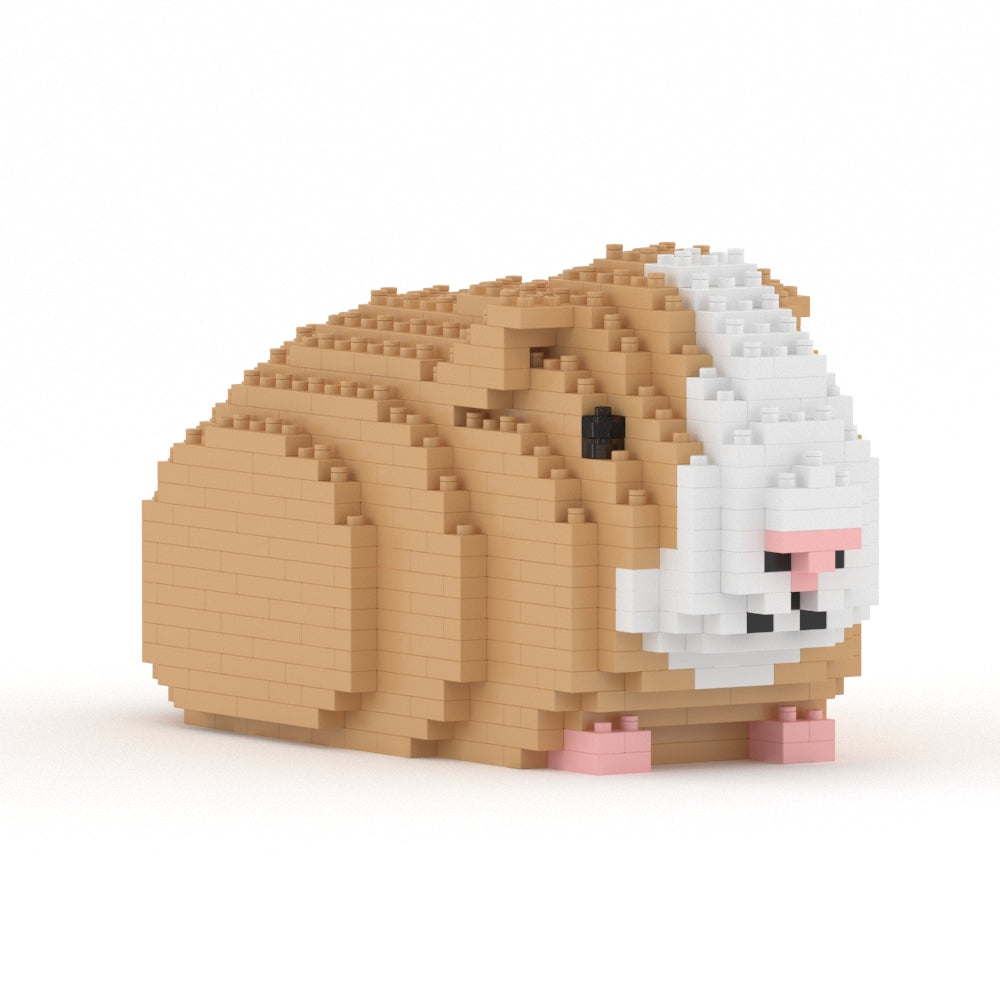 Guinea Pig 01
