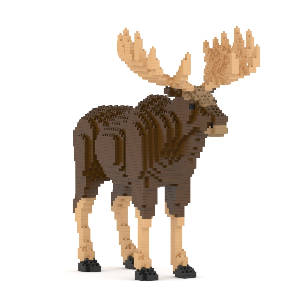 Moose 01