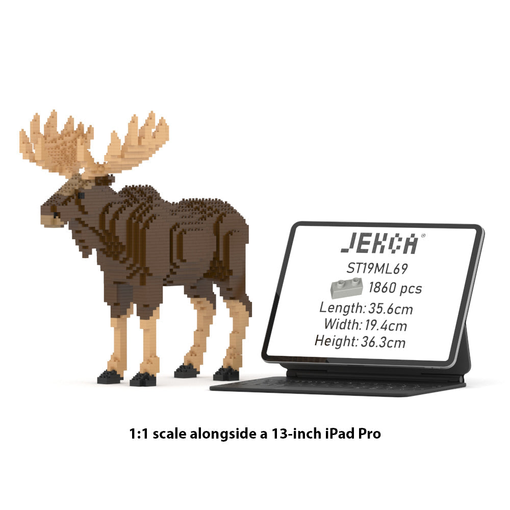 Moose 01