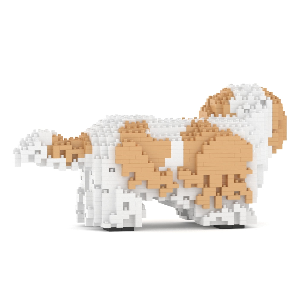 Shih Tzu 01-M04