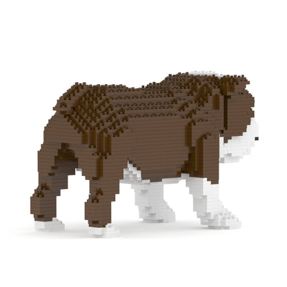 English Bulldog 01-M01