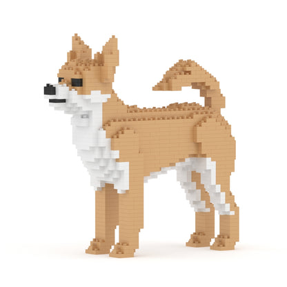 Chihuahua 01-M01