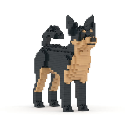 Chihuahua 01-M02