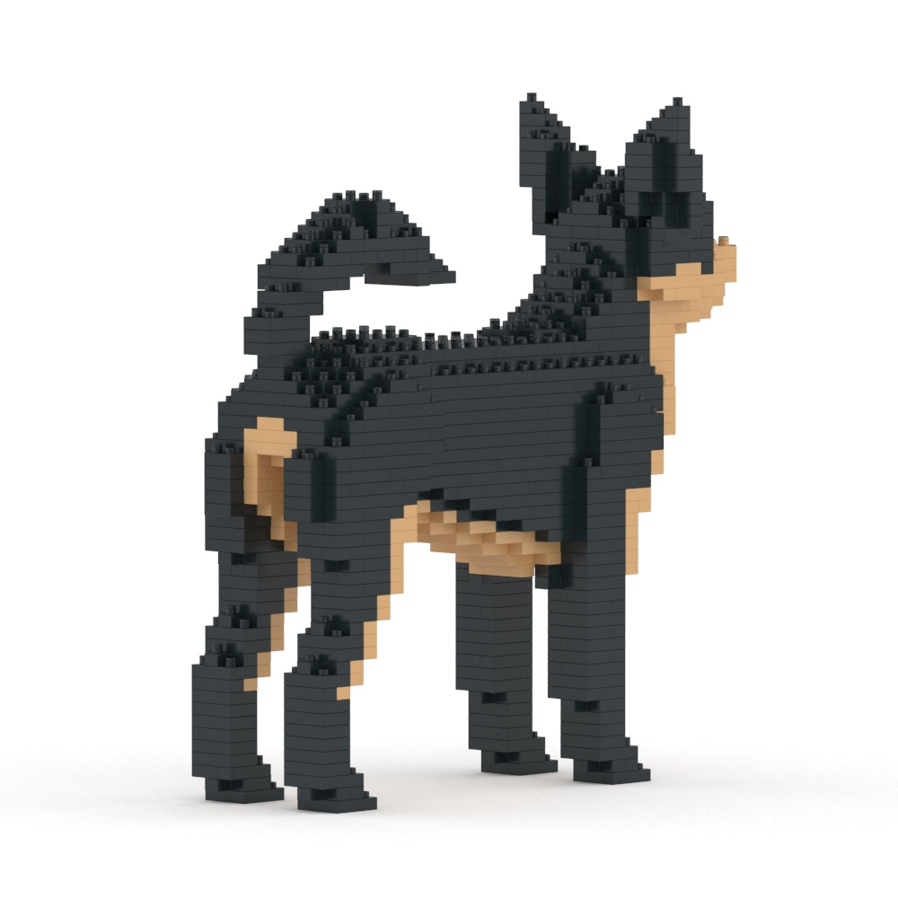 Chihuahua 01-M02