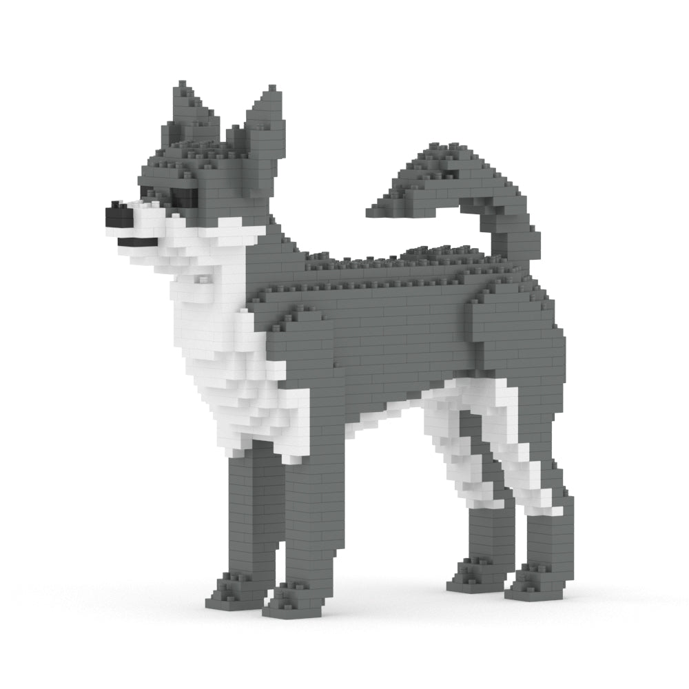 Chihuahua 01-M04