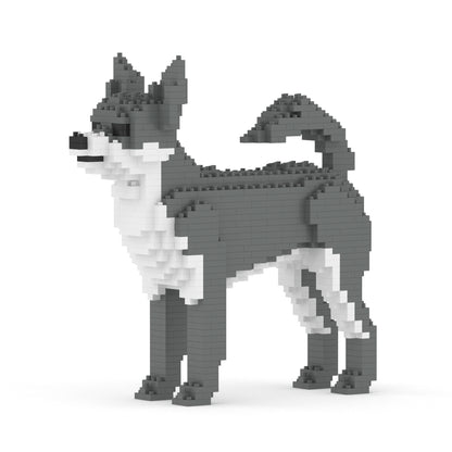 Chihuahua 01-M04