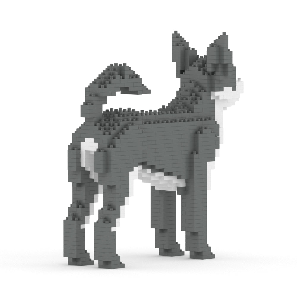 Chihuahua 01-M04