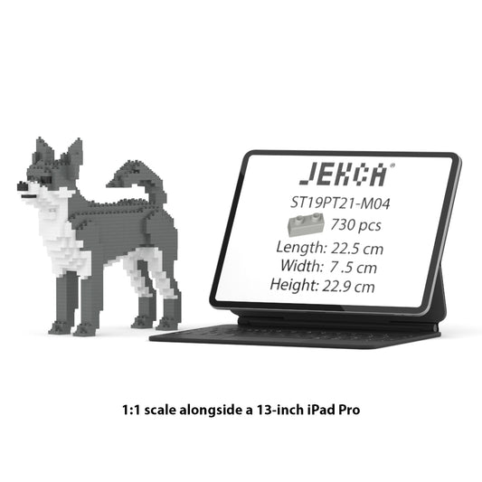 Chihuahua 01-M04